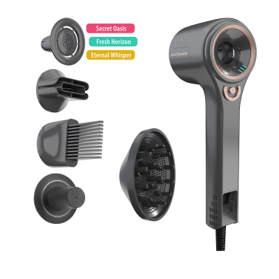 INVICTUS HAIR D7 Haartrockner | Deluxe-Set 8-tlg. Lavagrau