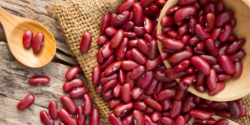 Kidneybohnen | Warenkunde | Food | Magazin | Genius Online-Shop